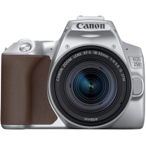 Фотоаппарат зеркальный Canon EOS 250D EF-S 18-55 IS STM Kit Silver