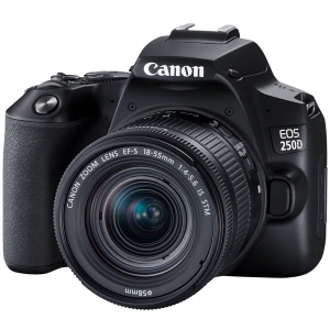 Фотоаппарат зеркальный Canon EOS 250D EF-S 18-55 IS STM Kit Black