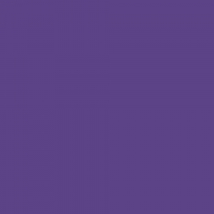 Фон бумажный Polaroid Purple Фиолетовый 2,72*11 м