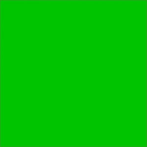 Фильтр фолиевый Primary Green 139 Зелёный 20*29 см