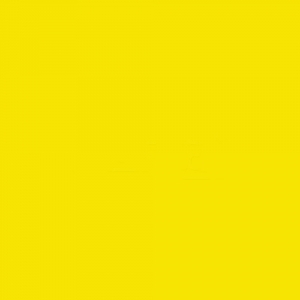 Фон бумажный в рулоне 2.75*11 м Colortone Deep Yellow Желтый