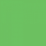 Фон бумажный в рулоне 2.75*11 м Colortone Tech Green Зеленый