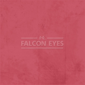 Фон Falcon Eyes BCP-17 BC-2770