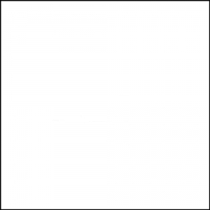 Фотофон GRIFON B-101 (300х500см) тканевый белый