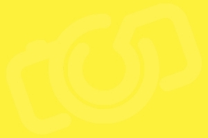 Фон бумажный Superior Aspen (жёлтый) 2,72х11 м