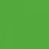 Фон бумажный Superior Stinger (зелёный) 2,72х11 м