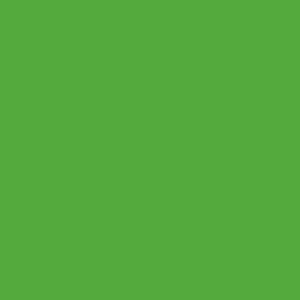 Фон бумажный Superior Stinger (зелёный) 2,72х11 м